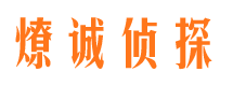 五峰市调查公司